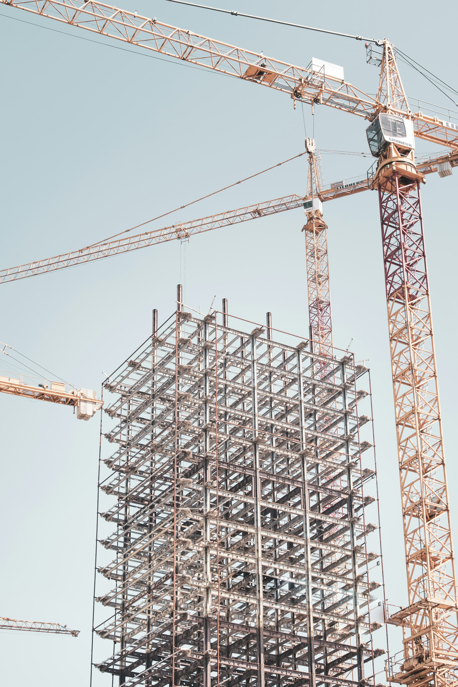 Steel building frame under erection beside a tower crane